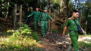 Tìm kiếm cụ ông mất tích ở Nghệ An được triển khai với nhiều lực lượng sau khi người này vào rừng cắt cỏ cho trâu nhưng không trở về.