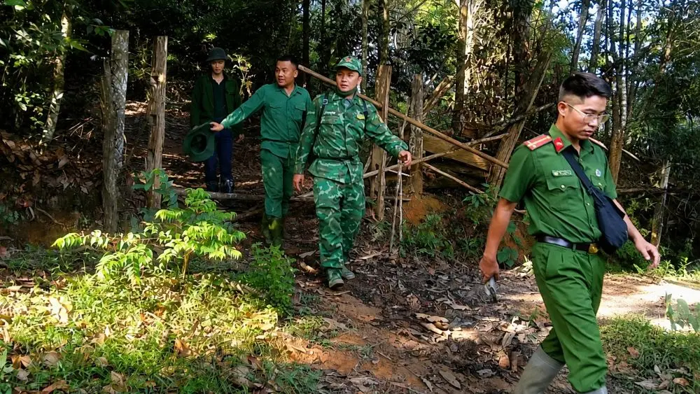 Tìm kiếm cụ ông mất tích ở Nghệ An được triển khai với nhiều lực lượng sau khi người này vào rừng cắt cỏ cho trâu nhưng không trở về.