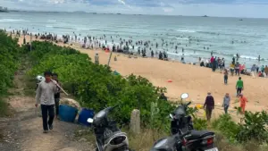 Hàng trăm người đổ ra biển Bãi Tiên tìm ốc hương sau sự cố vỡ hồ nuôi, khiến chủ hộ thiệt hại khoảng 1,2 tỷ đồng.