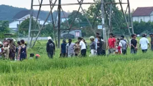 Vụ người đàn ông tử vong do điện 35kV phóng trúng khi gỡ dây vướng máy gặt trên cánh đồng ở Nghệ An.