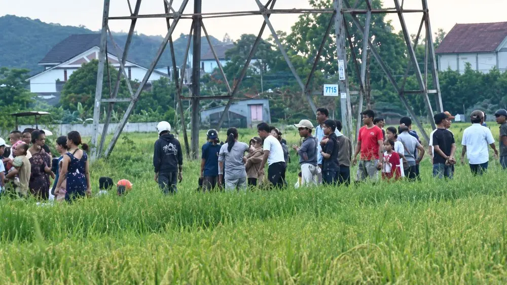 Vụ người đàn ông tử vong do điện 35kV phóng trúng khi gỡ dây vướng máy gặt trên cánh đồng ở Nghệ An.