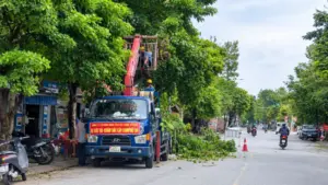 Nghệ An cắt tỉa hơn 5.000 cây xanh trên các tuyến phố, chủ động phòng ngừa nguy cơ mất an toàn trước mùa mưa bão.
