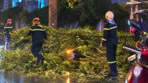 Nhánh cây lớn rơi trúng xe máy ở TPHCM khiến người chồng tử vong, vợ bị thương; lực lượng chức năng xử lý hiện trường.
