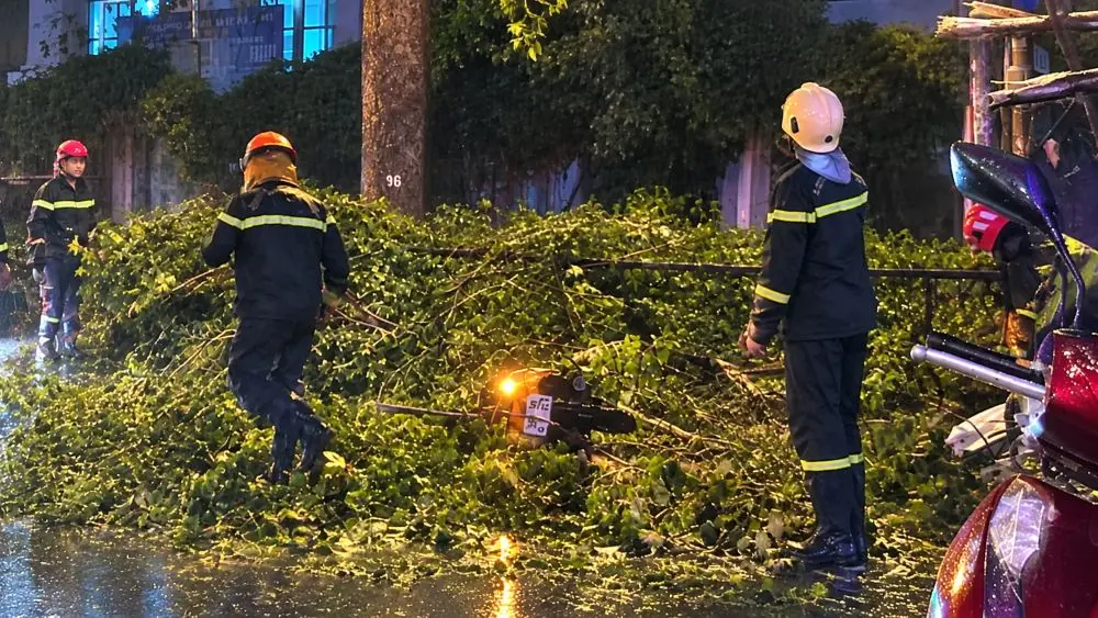 Nhánh cây lớn rơi trúng xe máy ở TPHCM khiến người chồng tử vong, vợ bị thương; lực lượng chức năng xử lý hiện trường.