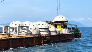 Rạn nhân tạo được thả xuống biển Hà Tĩnh bằng nguồn tiền bồi thường của Formosa, góp phần phục hồi hệ sinh thái và nguồn lợi thủy sản.