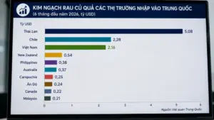 Rau quả Việt Nam tiếp tục đứng thứ ba về nguồn cung cho Trung Quốc, với kim ngạch 2,16 tỷ USD và thị phần tăng lên gần 15,8%.