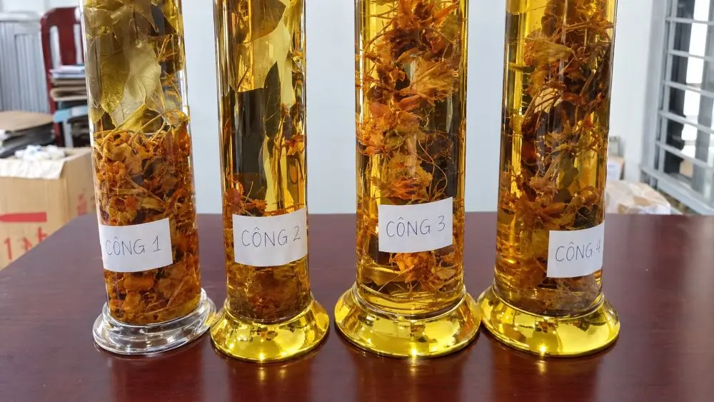 Sâm Ngọc Linh bị quảng cáo sai nguồn gốc, người từng mua sản phẩm qua mạng xã hội cần kiểm tra và cung cấp thông tin cho cơ quan công an.