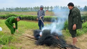 Nghệ An tăng cường kiểm tra, tháo dỡ các điểm bẫy, ngăn chặn nạn săn bắt chim hoang dã trong mùa chim di cư.