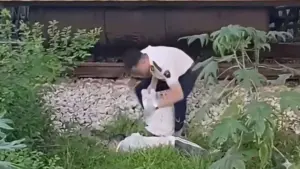 Tàu khách SE20 va trúng một người đàn ông tại Thanh Hóa khiến nạn nhân tử vong tại chỗ. Cơ quan chức năng đang làm rõ vụ việc.