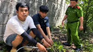 Đặng Quốc Tín và Trương Ngọc Minh bị khởi tố, bắt tạm giam để điều tra vụ cắt trộm dây điện trên cao tốc Biên Hòa - Vũng Tàu.