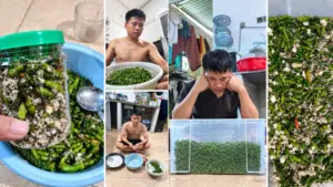 Bài đăng cầu cứu của người chồng Nghệ An khiến đơn hàng ớt muối tăng đột biến, có khách đặt mua cả trăm lọ.