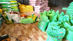 Gia Lai phát hiện hơn 9 tấn gạo giả tại kho của một đôi vợ chồng. Vụ việc hé lộ thủ đoạn đóng gói gạo giá rẻ dưới nhãn hiệu Thái Sơn.