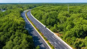 Metro Bến Thành - Cần Giờ dự kiến chạy dọc đường Rừng Sác. TP.HCM yêu cầu đẩy nhanh bàn giao mặt bằng phục vụ dự án.