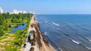 Mùn đen phủ kín một đoạn bờ biển Cửa Lò dài khoảng 1km, gây chú ý với cảnh quan khác lạ tại vùng biển Nghệ An.