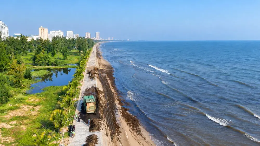 Mùn đen phủ kín một đoạn bờ biển Cửa Lò dài khoảng 1km, gây chú ý với cảnh quan khác lạ tại vùng biển Nghệ An.