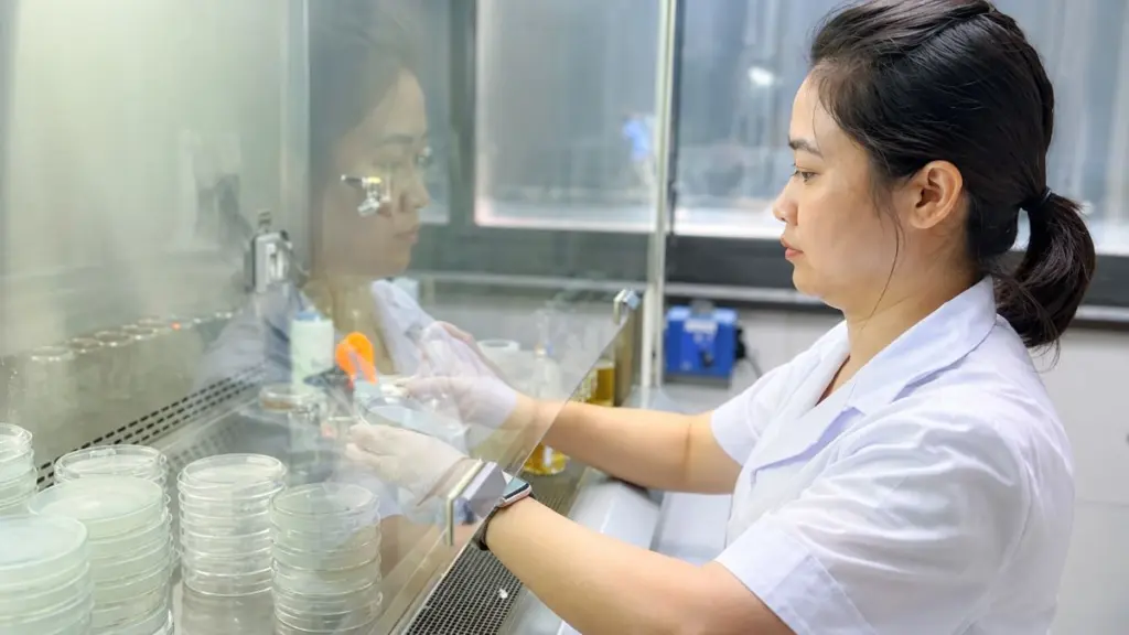 Doanh nghiệp Nghệ An tăng cường kiểm soát chất lượng, bảo đảm an toàn thực phẩm trong sản xuất đồ uống. Tìm hiểu quy trình tại các nhà máy.