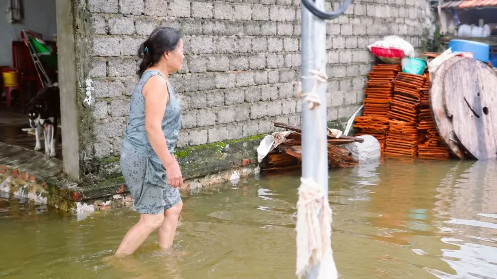 Nghệ An tập trung triển khai các giải pháp chống ngập úng đô thị, đẩy nhanh tiến độ dự án và cải thiện hệ thống thoát nước sau mưa lớn.