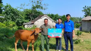 Trao bò giống cho thanh niên khó khăn ở Nghệ An, tiếp thêm sinh kế, tạo động lực vươn lên và ổn định cuộc sống gia đình.