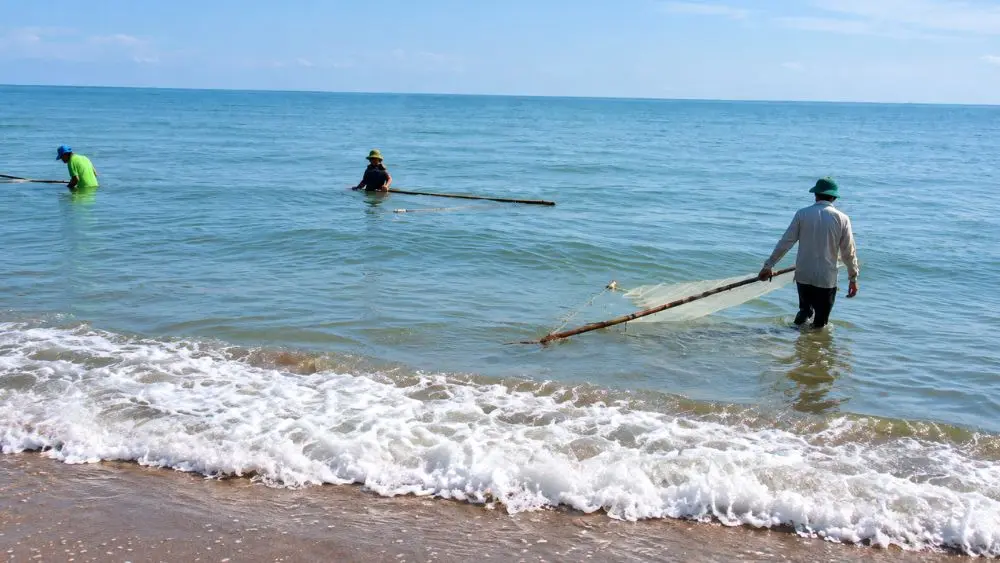 Ngư dân ngâm mình dưới biển để vớt ruốc biển, khai thác nguồn hải sản ven bờ, mang lại thu nhập tiền triệu mỗi ngày.