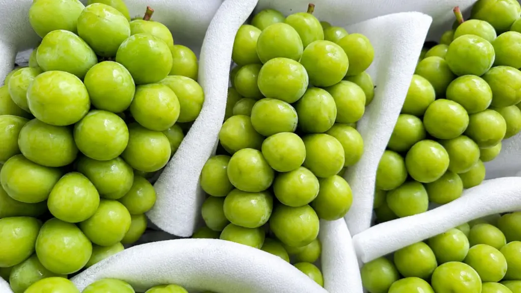 Nho sữa Trung Quốc được rao bán chỉ 22.500 đồng/kg. Vì sao loại trái cây này có giá rẻ bất ngờ tại thị trường Việt Nam?