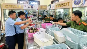 Hưng Yên phát hiện 2.134 đồng hồ giả mạo 10 thương hiệu nổi tiếng tại một cửa hàng. Chủ hộ kinh doanh đã bị khởi tố.