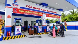 Thanh tra Chính phủ phát hiện Petimex có hành vi găm hàng xăng dầu vượt 500%, làm dấy lên lo ngại về công tác quản lý, kinh doanh và phân phối xăng dầu.