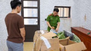 Lào Cai khởi tố nam thanh niên mua thảo dược trôi nổi, quảng cáo là dược liệu Tây Bắc và bán cho hơn 4.800 người.