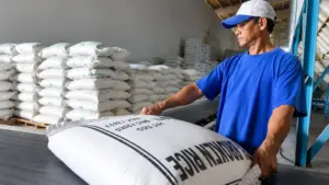 Trung Quốc nhập khoảng 1,03 triệu tấn gạo Việt Nam trong 8 tháng năm 2026, trị giá gần 505 triệu USD.