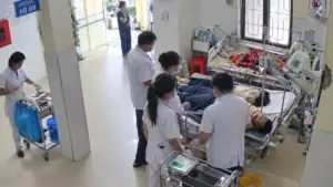 Vợ chồng ở Nghệ An bị ong đốt khi làm nương, phải nhập viện cấp cứu. Người vợ có 49 con ong mắc trên đầu.