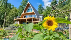 Vườn rau Việt ở Mỹ của chị Nguyễn Thị Mỹ Trinh tại Missouri giúp gia đình có rau củ quen thuộc, vơi nỗi nhớ quê hương.